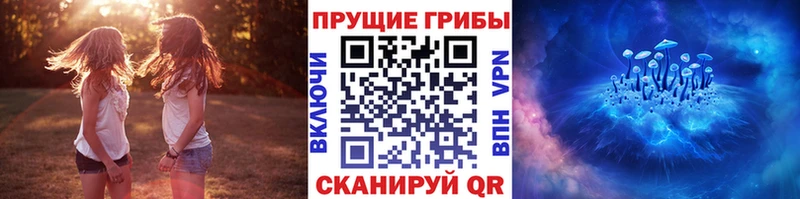 Купить где  Ангарск  Псилоцибиновые грибы Psilocybine cubensis 